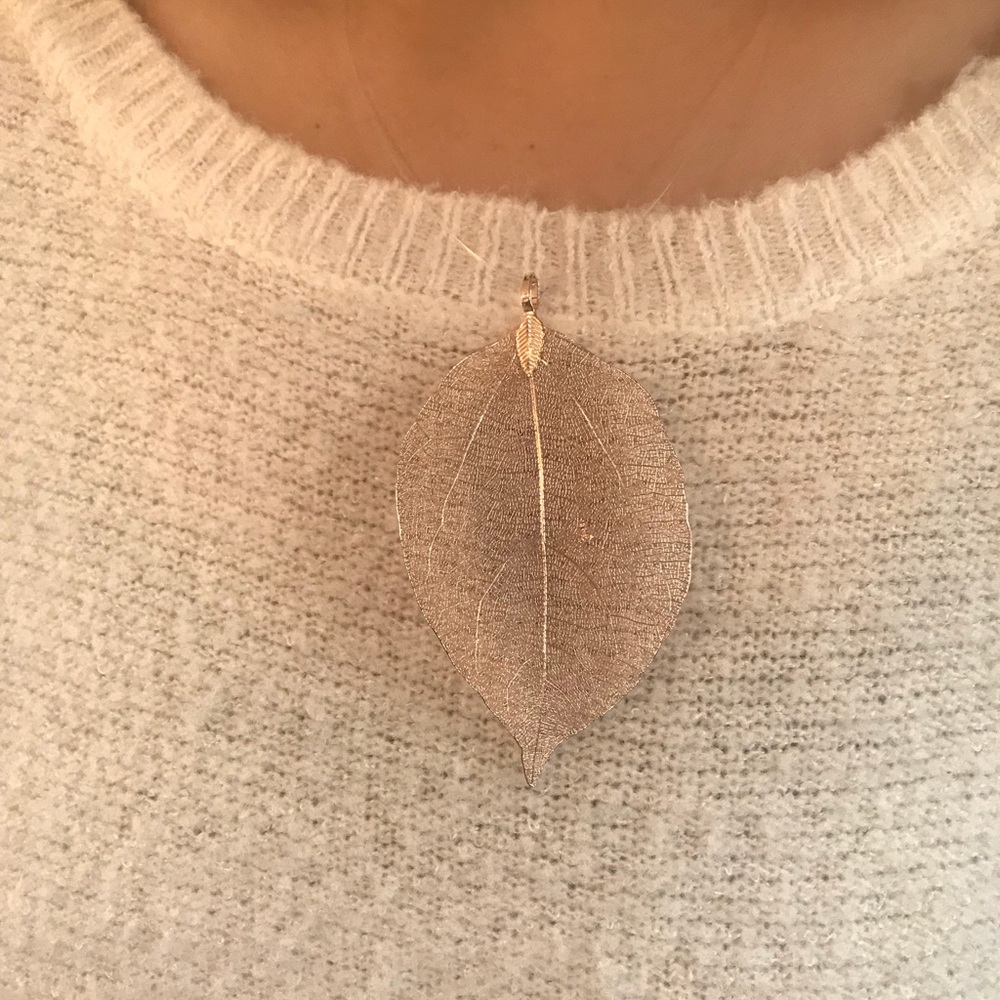 NWT Beautiful Expandable Rose Gold leaf necklace